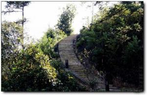 新罗香寮山庄 (4)_新罗香寮山庄