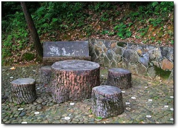 大田白岩公园 (6)_大田白岩公园