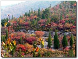 梅列虎头山 (4)_梅列虎头山