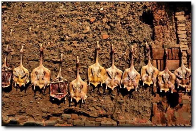 永安贡川古镇 (4)_永安贡川古镇