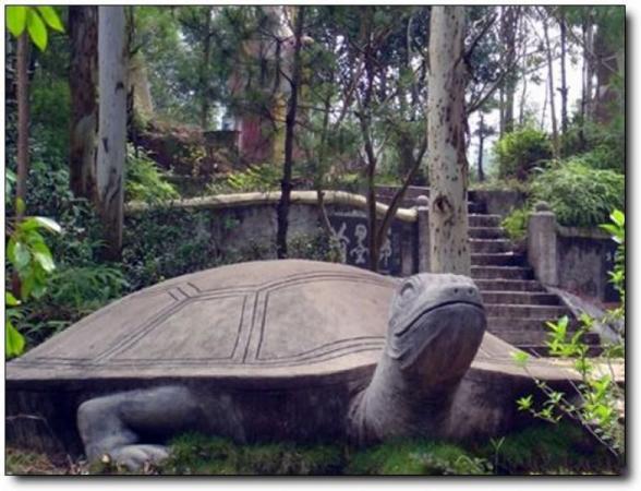 永安龟山公园 (6)_永安龟山公园
