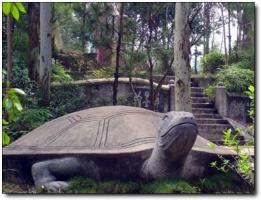永安龟山公园 (6)_永安龟山公园