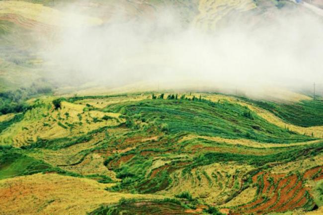 尤溪联合梯田 (3)_尤溪联合梯田