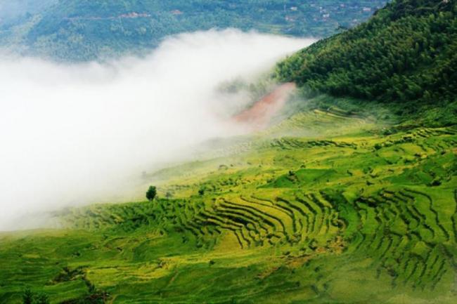 尤溪联合梯田 (2)_尤溪联合梯田