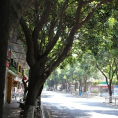 集美逛街的地方