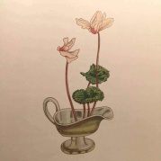 生活美学——日式插花