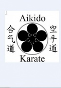 黑带七段师范授课-空手道、合气道成人班、少儿班免费体验课