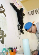 《藏家的美梦》厦门站在不愿去艺文空间