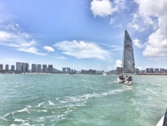 五缘湾帆船出海特惠季，拥抱大海，艳遇白海豚