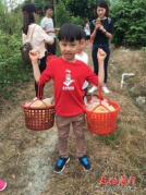 [每周末]云霄内洞村+杨桃采摘+金汤湾泡温泉一日游