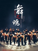 2016厦门嘉庚剧院舞蹈演出季爱尔兰踢踏舞世界风情舞剧《舞之魂》厦门站