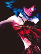 风靡全球的舞蹈巨作《燃烧地板》铂金纪念版—厦门站