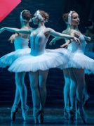 俄罗斯国家明星芭蕾舞团《天鹅湖》