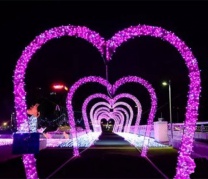 周末观音山水世界灯光节，超级漂亮