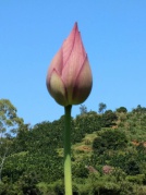 绳武楼+工艺扎染/糍粑DIY+林语堂+花溪温泉+土菜采摘二日互动