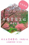 【元宵发团】永福樱花园赏浪漫樱花、台缘山庄一日互动