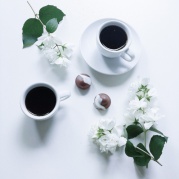 First1---photoshop零基础