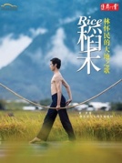 台湾云门舞集《稻禾》