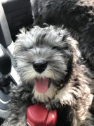 春节初四or初五九仙山自驾游~