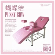 展览蝴蝶结PuyBow