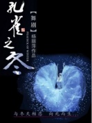 杨丽萍领衔主演大型舞剧《孔雀之冬》-厦门站