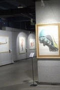 相约周末文艺活动美术馆看展+摄影+仙岳公园漫步