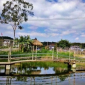 长泰大树将军农家乐