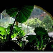 龙海塔潭农家乐