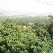 长乐青山贡果生态园