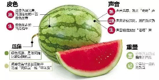 夏日炎炎如何挑选好吃健康的西瓜